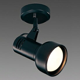 楽天市場 スポットライト 絵画の通販