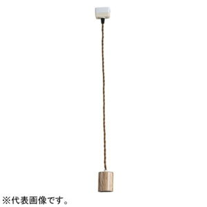 GAhGC y_gR[h |V[O^Cv E26 60W܂ dʔ 101cm AbV GF011