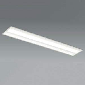 遠藤照明 LEDベースライト 《LEDZ SDシリーズ》 40Wタイプ 埋込タイプ 下面開放形 W220 高効率省エネタイプ 6900lmタイプ 非調光タイプ Hf32W×2灯高出力型器具相当 昼白色 ERK9989W+RAD-760N