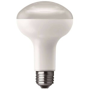 パナソニック LED電球 レフ電球形 100W相当 ビーム角60° 昼光色 E26口金 密閉型器具対応 LDR9D-W/RF10