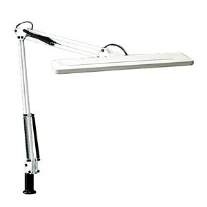 RcƖ LEDX^hCg Nv M80W @\t zCg sZCgt Z-1000W