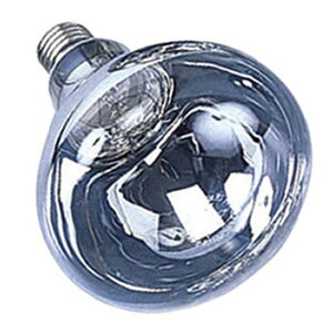 �n�^�� ���t���N�^�[�����v������ �U���� 110V 200W�^ E26���� RS-200WH