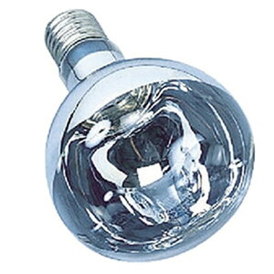 �n�^�� ���t���N�^�[�����v������ �U���� 110V 300W�^ E39���� RS-300WH