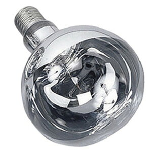 �n�^�� ���t���N�^�[�����v������ �U���� 110V 500W�^ E39���� RS-500WH