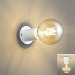 I[fbN LEDuPbgCg ǖʁEVʁEXΖʎtp M30W dF ^Cv  OL251715LC1