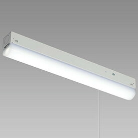 ホタルクス(NEC) LED一体型多目的照明 トラフ形 天井・壁面・棚下取付兼用 FL10形×1灯相当 昼白色 プルスイッチ付 MMK1101P/06-N1