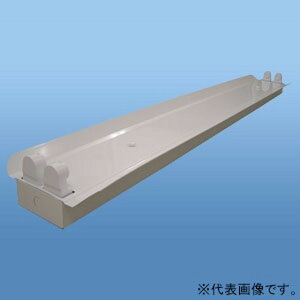 ij LEDvp ˊ}t^ 40W^ 2p z S1250mm NL-FA402W