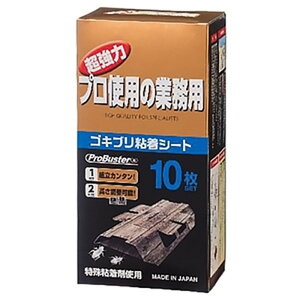 SHIMADA SLuSV[g Uܓ 10 MEESLuzJNL10P