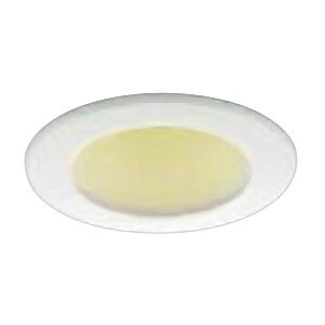 �R�C�Y�~�Ɩ� LED�����v�^�C�v�_�E�����C�g �x�[�X�^�C�v �ۈ����N���X �d���F ON-OFF�^�C�v ����E12 �����v�t ��������50mm AD38586L