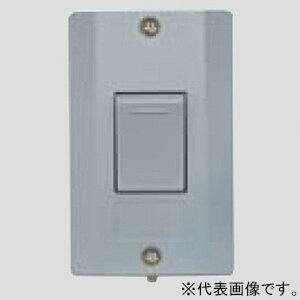 �p�i�\�j�b�N �h�������X�C�b�`B �А� 15A 300V WS60219H