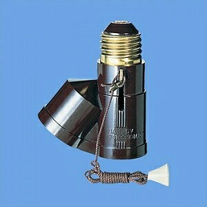 pi\jbN 2V\Pbg 3A 125V E26×2 R75cm WH1021