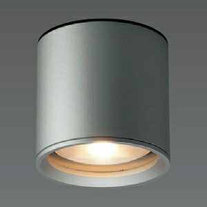 �R�c�Ɩ� LED�����V�[�����O �h�J�^ �d���F���� ��i����1083lm FHT24W���� �_�[�N�V���o�[ AD-2602-L