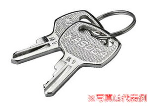 y󒍐YizpgCg itd@j UN80PJKEY L[ZN^pXyAL[ zCXgp{^JANZT(2) yKASUGA/PATLITEz