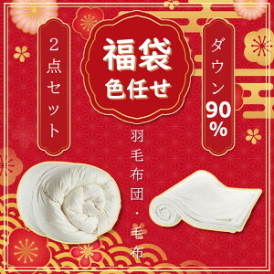 福袋 羽毛布団 寝具2点セット福袋 GOOSEA 日本製 毛布 ダブル シングル ホワイトダウン90% 350DP 洗浄度1000以上 アレルGプラス加工 炭素繊維入り 7年保証 日本製 冬用 加工 150x210cm 190*210cm 充填