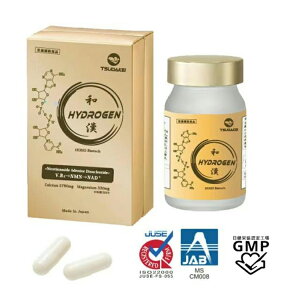 tsudakei hydrogen a fTvg 90 30 e NMN fNADH P  CɂȂ XgXɘa