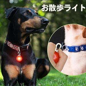  LEDy_g ybgpi p Lp Cg ybgփCg Jrit qh~ ̖h~ Z[teB[Cg  _ JoLx