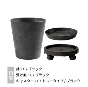 yr[Tzamabro A}u A[gXg[  L ϗtA Aؔ A v^[ 10 11 10 11 ^  Ɍ 킢 Jt }bg  ۂ }[uy 