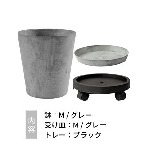 yr[Tzamabro A}u A[gXg[  M ϗtA Aؔ A v^[ 8 9 8 9  Ɍ 킢 Jt }bg  ۂ }[uy y 