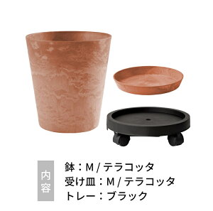 yr[Tzamabro A}u A[gXg[  M ϗtA Aؔ A v^[ 8 9 8 9  Ɍ 킢 Jt }bg  ۂ }[uy y 