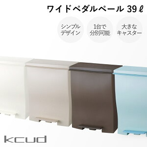 yr[Tzkcud N[h Chy_y[ [S4F] S~ 39L(45bgS~ܑΉ) WIDE PEDAL  X^CbVzCg O[ ubN J}eA