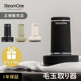 【レビュー特典】SteamOne スチームワン 充電式 毛玉取り Anti lint shaver RP10 B/IV 高級毛玉取り 電動 デリケートガード 毛玉とり 毛玉取り器 毛玉取り機 ブラシ ハンディ 軽量 パワフル 最強 強力 業務用 シンプル おしゃれ 寝具 洋服 上着 けだまとり USB充電 海外