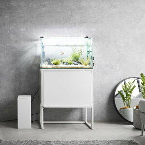 yr[Tz R y bN ^[ z tower 1961 1962rO  ANAE   b Mы a GA|v  q[^[ tB^[ eiX Vv X^