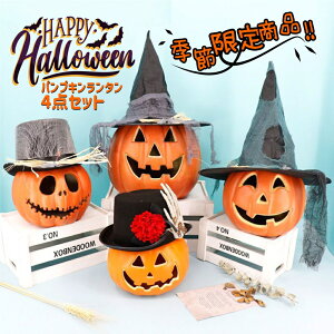 nEB CeA ڂჂ`[t J{`^Cg lC  nEB  ڂ z[ fR[V Halloween X G  ObY C~l[V v RXv RX