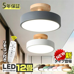 y5NԕۏؕtzV[OCg  50cm 10`12 F led iKF F dF ƖLEDCg [h ȃGl Hsv Q  哔 L