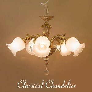 NVJVfAy5zO[X II Rbp[ LEDdΉ E26 NVbN AeB[N Pn CeA KX X Vbv T yATCz