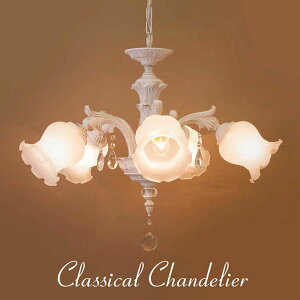 NVJVfAy5zO[X II zCgiubVS[hdグj LEDdΉ E26 NVbN AeB[N Pn CeA KX X Vbv T yATCz