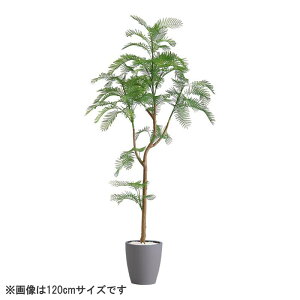 ȒPtFCNO[ Go[tbV STCY(120cm)