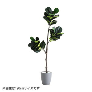 ȒPtFCNO[ tBJXE[^ STCY(120cm)