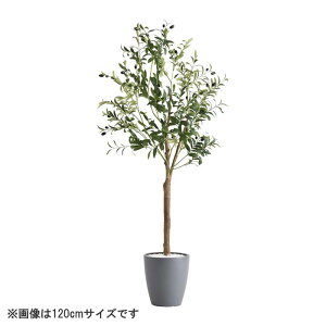 ȒPtFCNO[ I[u STCY(120cm)