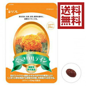 ڂ̃Tv Tvg 胋eC31 y[ z