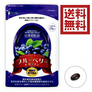 ڂ̃Tv Tvg u[x[eC31 y[ z