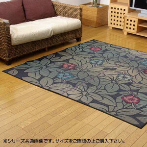 �����Y �������O�J�[�y�b�g �w�Ȃł����x �u���[ �]�ˊ�6��(��261×352cm) 1708030 �ԕ� �����` �ܐD
