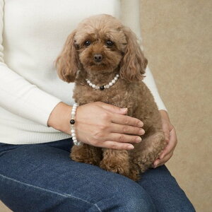 静電気防止 ブレスレット 猫の人気商品 通販 価格比較 価格 Com 静電気防止 ブレスレット 猫の人気商品 通販 価格比較 価格 Com