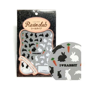 WNu WV[ (VGbg) (ʈ) RC-RAB-101 ETM ɂ񂶂    Ȃ₩ i iʗXցj