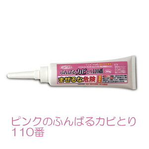 sN̂ӂ΂JrƂ110 Jr  я ^C ڒn  C