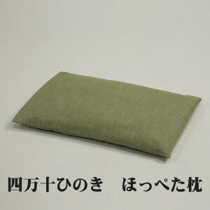l\Ђ̂ ق؂ O[ 38×25×4cm qmL Q ⏕ Tu̖  R h L  K  s[ ܂