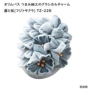 IpX ܂ݍ׍H̃NVJ`[ ƍ(tWgTN) TZ-22B u[n Ҍ |Lbgy[ z