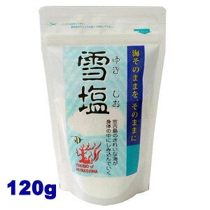 [  CɂȂ  {Ó VR  ቖ 120g ~l̎ނ̑ŃMlXF     igE ro   pE_[ \gy[ցz