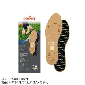 Pedag(y_bN) C\[ U[ 28.5`29.0 45 hCc C\[ C̒~ y[ z