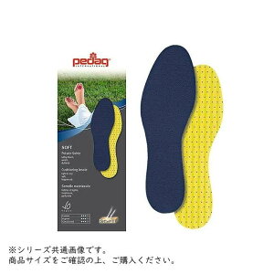 Pedag(y_bN) \tg 23.0 35 hCc C\[ C̒~ y[ z