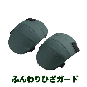 ӂЂK[h GK[h veN^[ Ǝ K[fjO G Gɂ