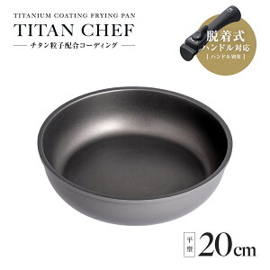 `^VFtEnhtCp 20cm 1010050 肪O łɂ  d˂  H l [ nhʔ