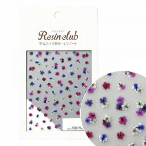 WNu WV[ hCt[3(ʈ) RC-DRF-105   Ȃ₩ i UVW WNtg iʗXցj