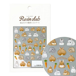 WNu WV[ tt ʈ RC-RAB-102 ̂܂ܓ\ _CJbg ETM    Ȃ₩ i UVW WNtg W V[ i