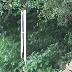 yECh`C EGXg~X^[S145cmzAJ@woodstockЁy  z