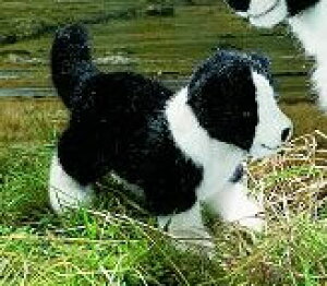 y݌ɂzKosen P[Z hCc ʂ {[_[R[̎qi Mtg v[g a oYj ̎q j̎q D  ʁj